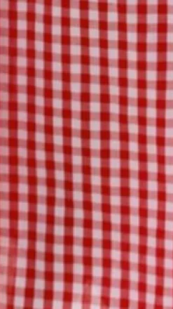 Amore Agencies Sale Dresses|Event Ready Dresses^Brydie Halter Maxi Dress - Gingham Red