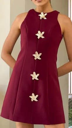 Fashion Allied Dresses|Mini^Daray Mini Dress - Burgundy/Star