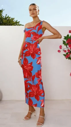 SASHA (BNE) Dresses|Maxi^Lorina Maxi Dress - Red/Blue Floral