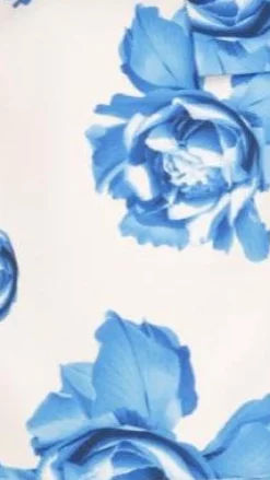 SASHA (BNE) Sale Dresses^Thea Mini Dress - Blue Rose