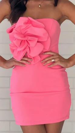 SASHA (BNE) Dresses|Mini^Xanbi Mini Dress - Pink